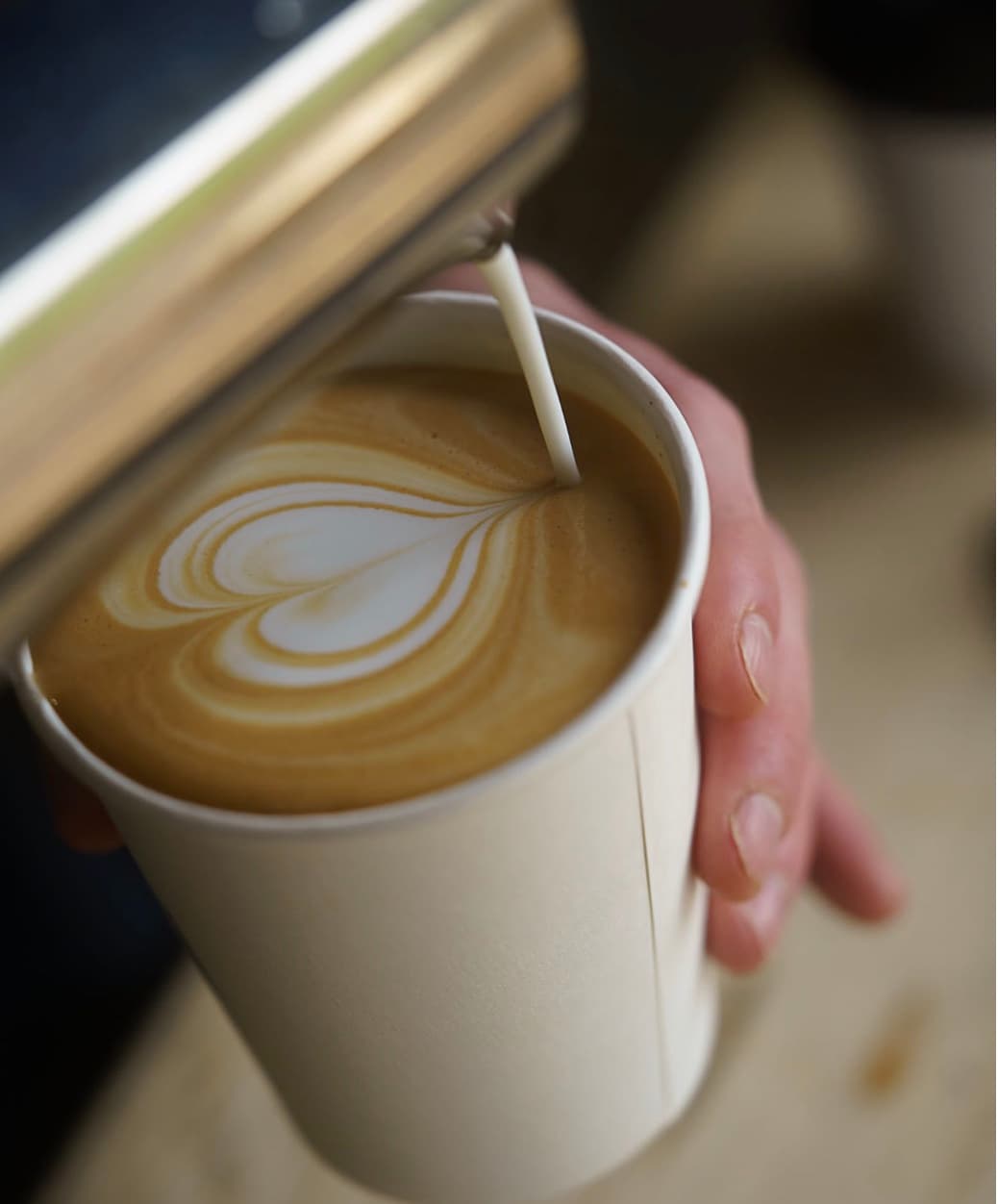 Steamed milk poured into a white paper cup, forming a heart-shaped latte art design.